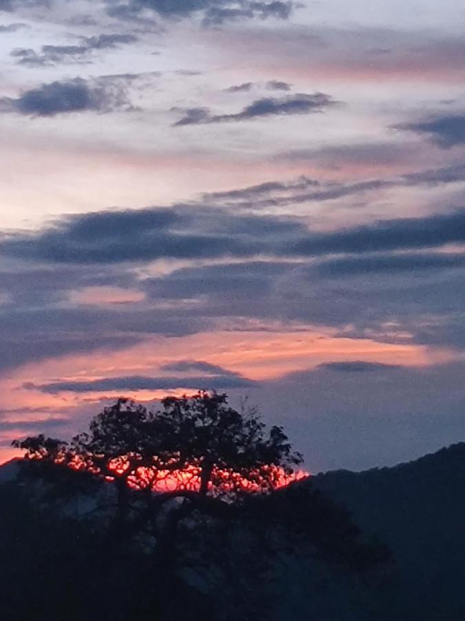 Chateau De Tatli - Hilltop - Dehradun Ngoại thất bức ảnh