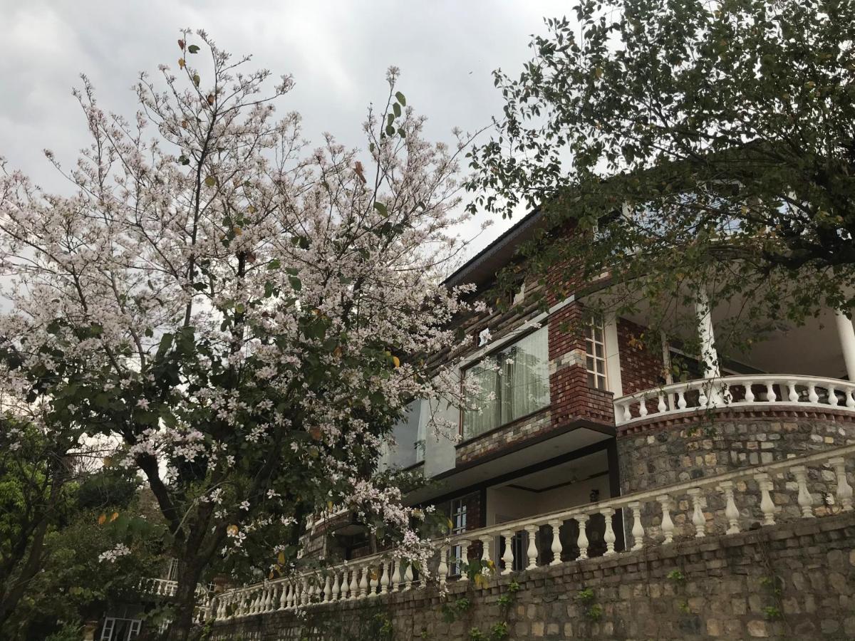 Chateau De Tatli - Hilltop - Dehradun Ngoại thất bức ảnh