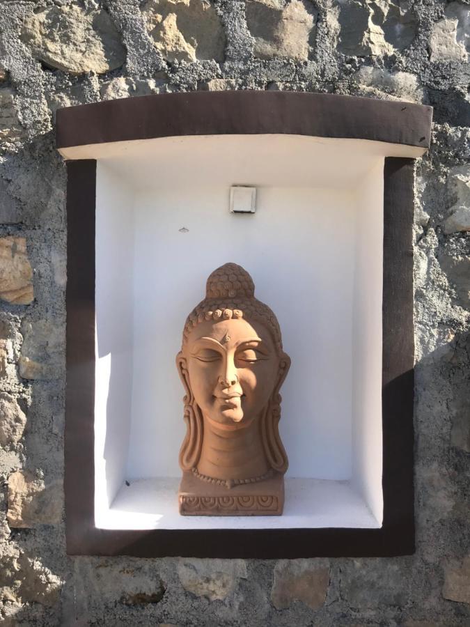Chateau De Tatli - Hilltop - Dehradun Ngoại thất bức ảnh