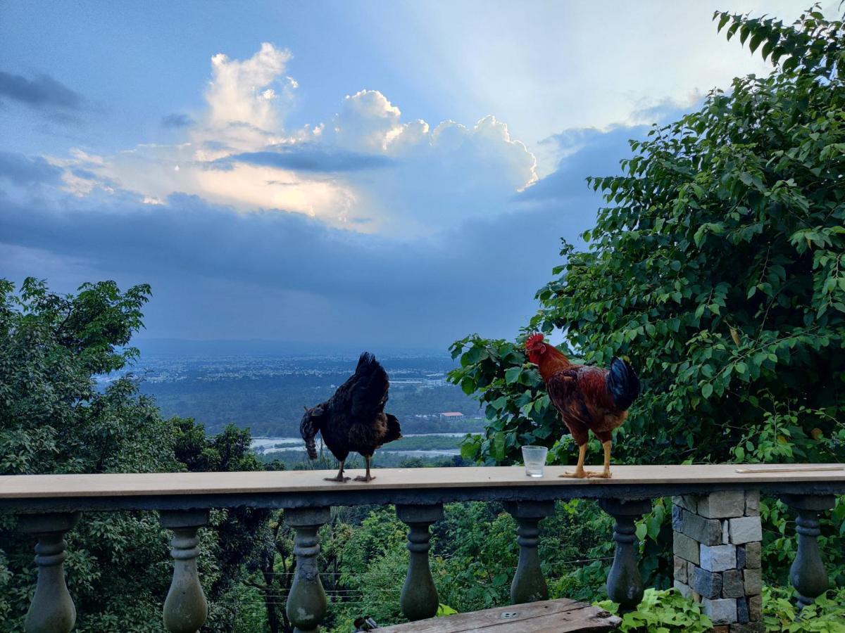 Chateau De Tatli - Hilltop - Dehradun Ngoại thất bức ảnh